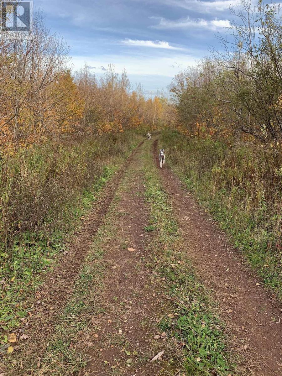 Lot Whycocomagh-Mabou Road, Skye Glen, Nova Scotia  B0E 3M0 - Photo 4 - 202526420