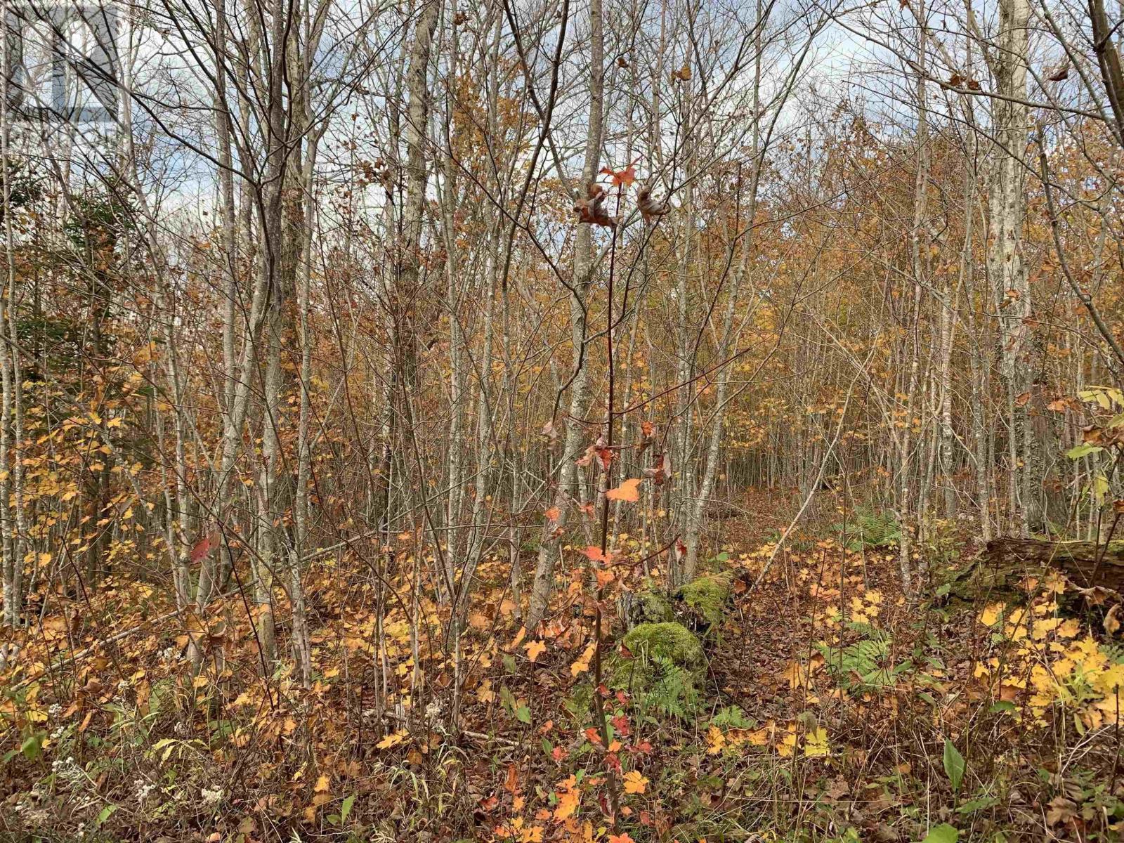 Lot Whycocomagh-Mabou Road, Skye Glen, Nova Scotia  B0E 3M0 - Photo 7 - 202526420