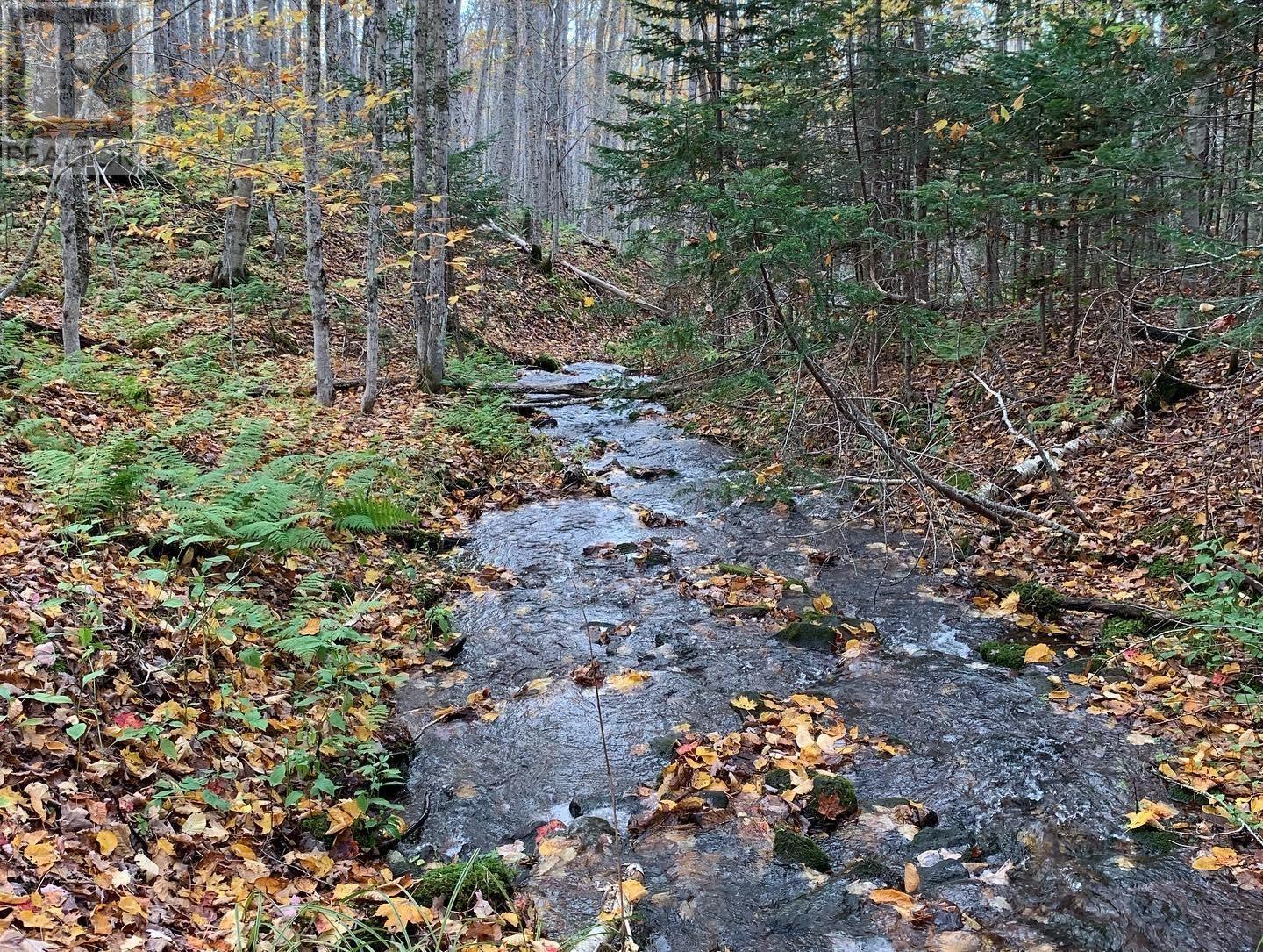 Lot Whycocomagh-Mabou Road, Skye Glen, Nova Scotia  B0E 3M0 - Photo 9 - 202526420
