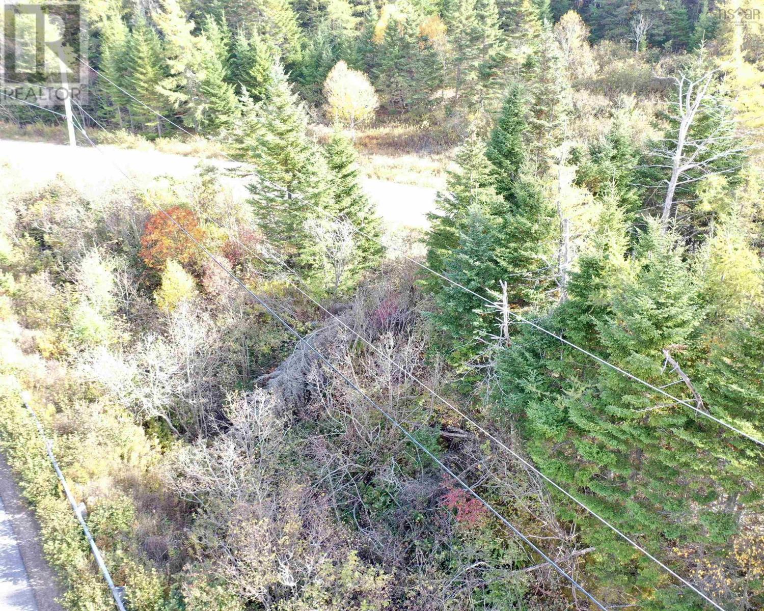 St Peters Fourchu Road, Framboise, Nova Scotia  B2J 1E1 - Photo 15 - 202526436