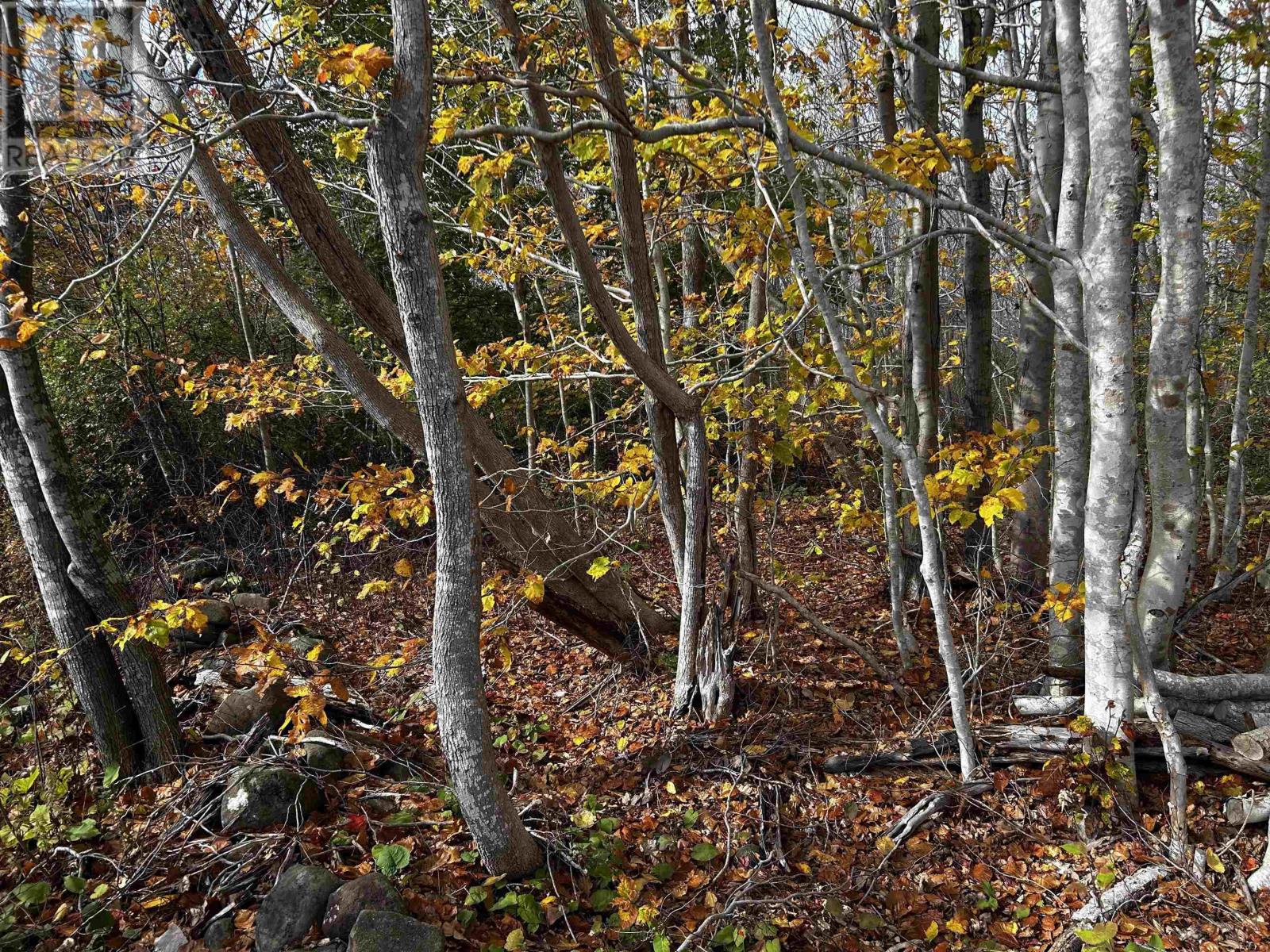 Lot Granville Road, Karsdale, Nova Scotia  B0S 1A0 - Photo 13 - 202526454