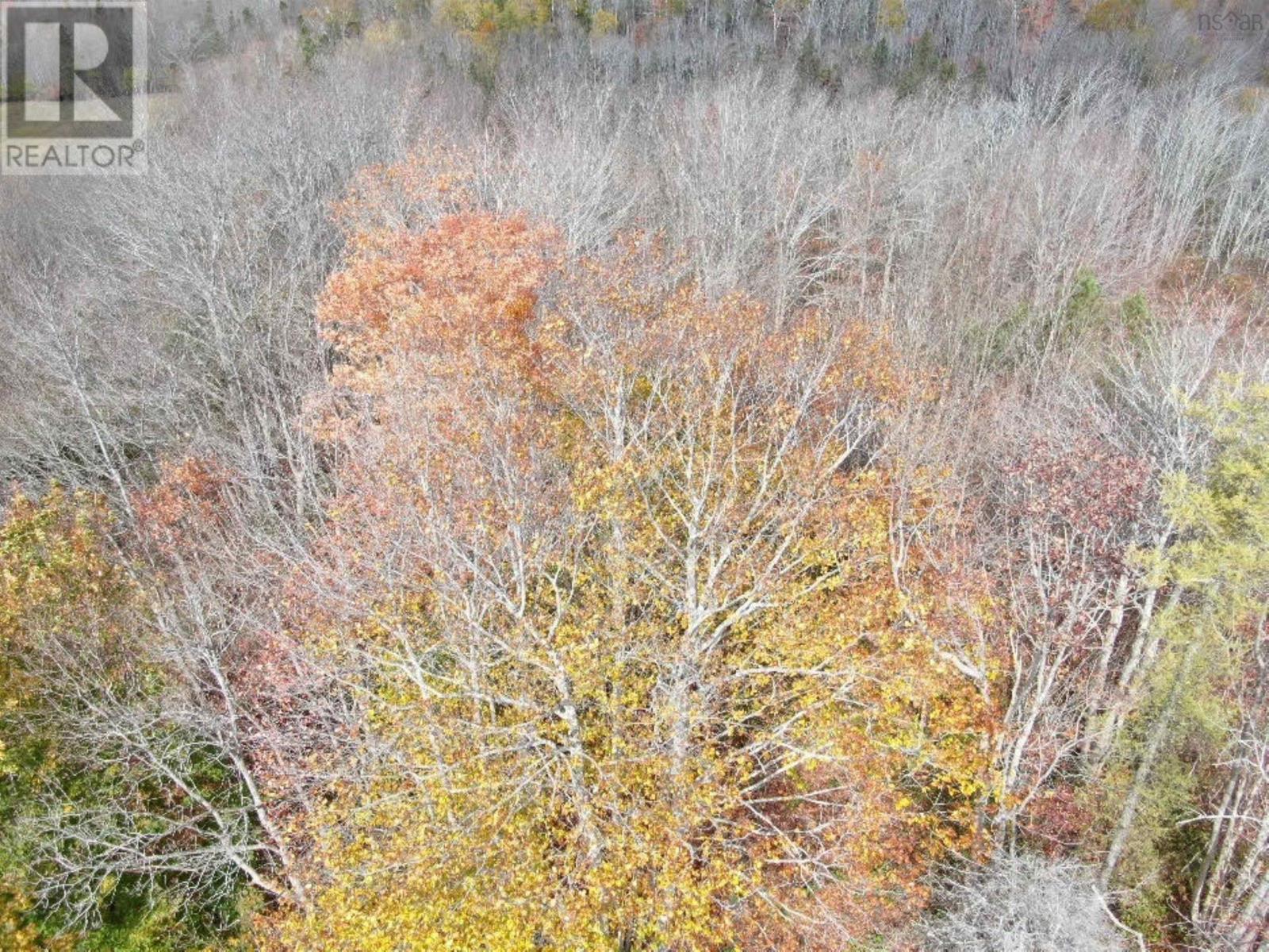 Lot Granville Road, Karsdale, Nova Scotia  B0S 1A0 - Photo 17 - 202526454