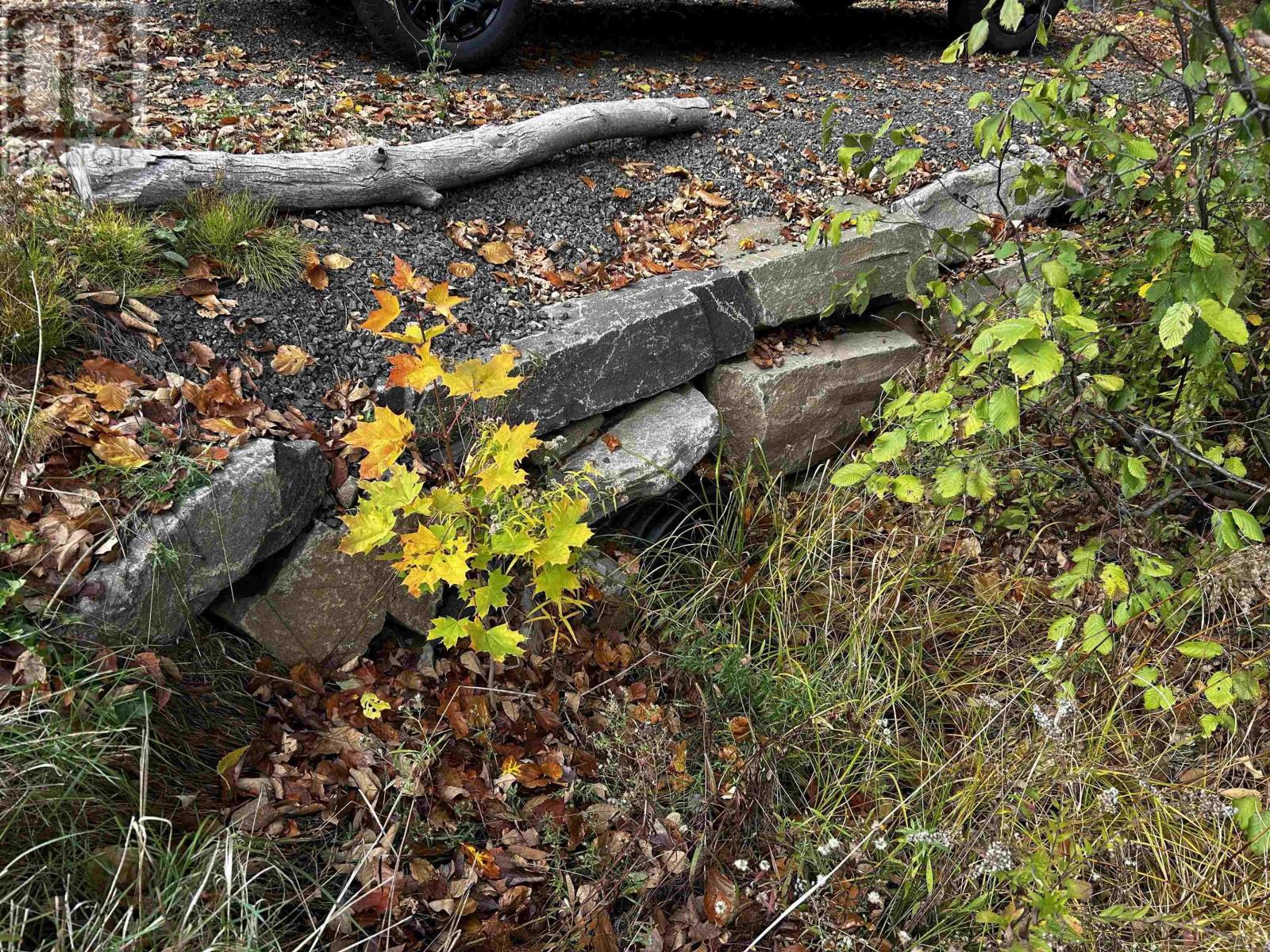 Lot Granville Road, Karsdale, Nova Scotia  B0S 1A0 - Photo 4 - 202526454