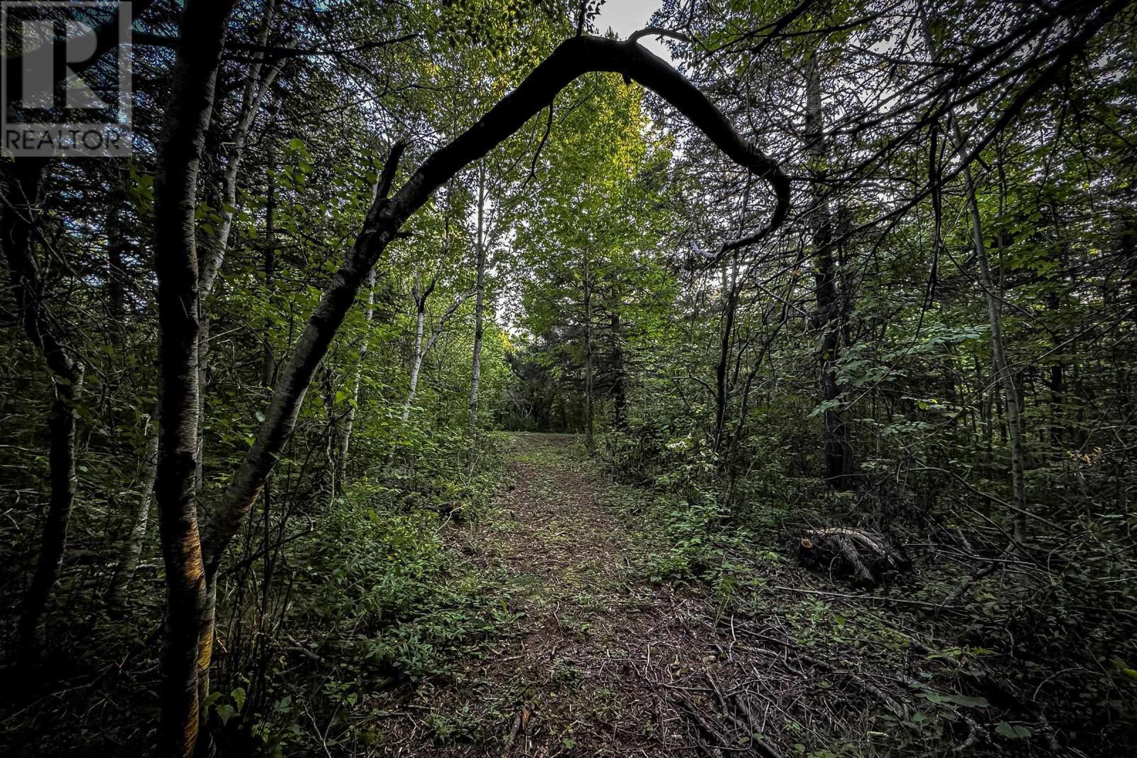 Lot 4 Outram Road, Mount Hanley, Nova Scotia  B0S 1P0 - Photo 11 - 202526457