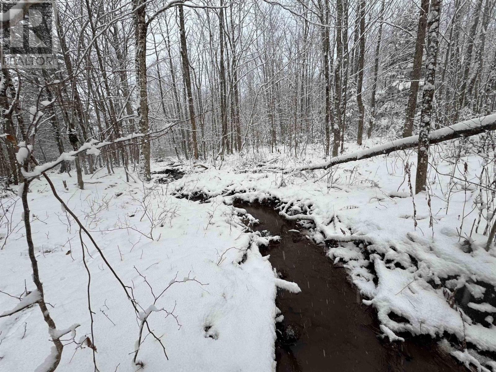 Lot 4 Outram Road, Mount Hanley, Nova Scotia  B0S 1P0 - Photo 14 - 202526457