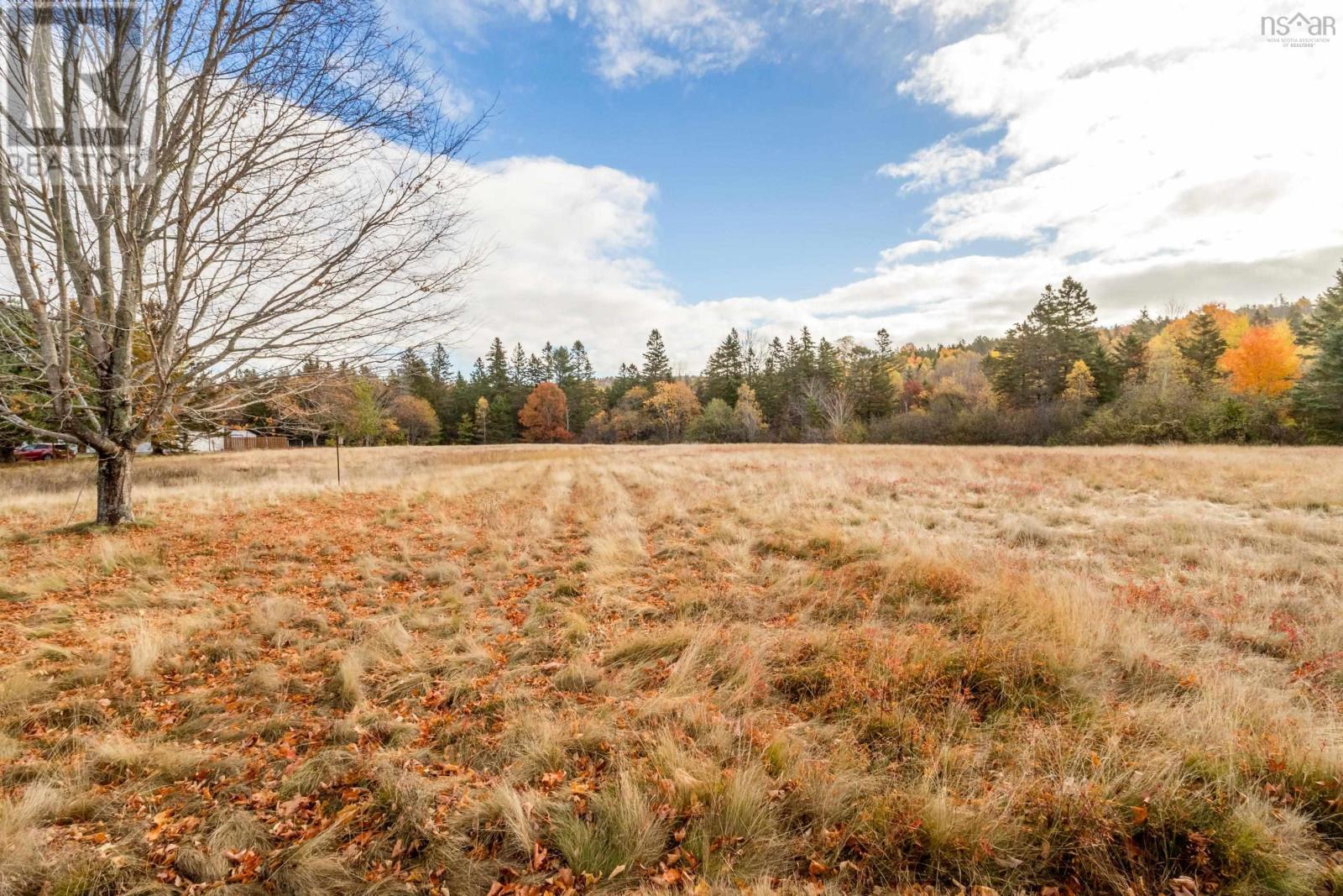 1546 Spurr Road, Round Hill, Nova Scotia  B0S 1C0 - Photo 4 - 202526509