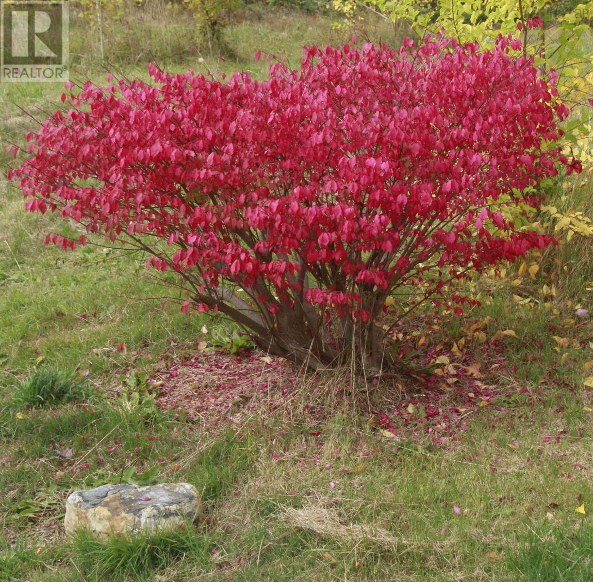 10783 Highway 105, Aberdeen, Nova Scotia  B0E 3M0 - Photo 45 - 202526530