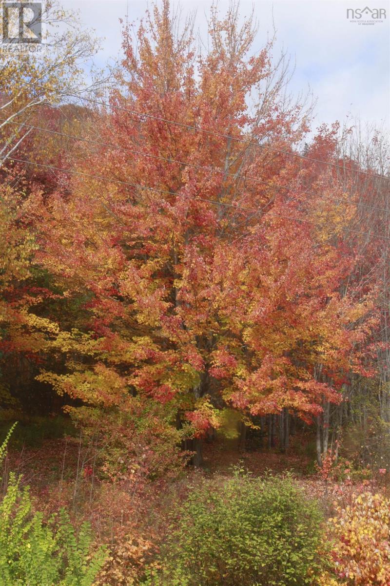 10783 Highway 105, Aberdeen, Nova Scotia  B0E 3M0 - Photo 48 - 202526530