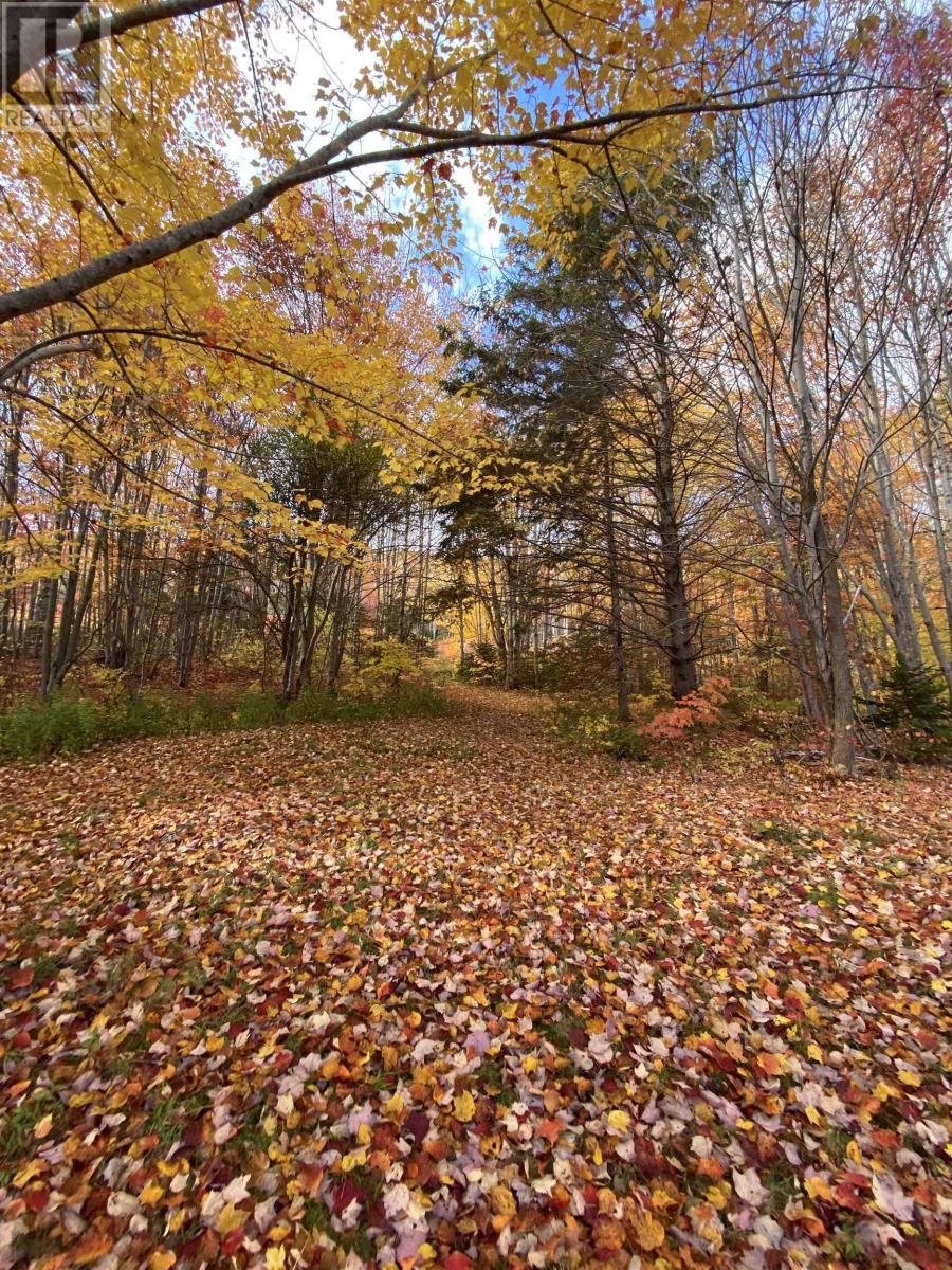 10783 Highway 105, Aberdeen, Nova Scotia  B0E 3M0 - Photo 49 - 202526530