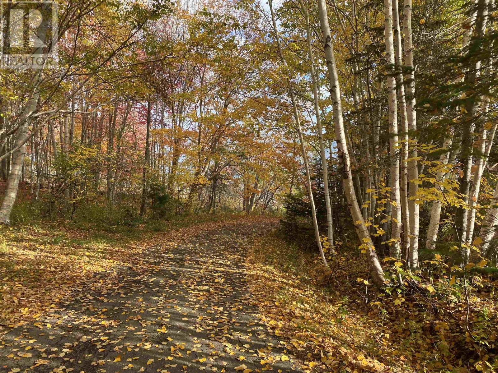 10783 Highway 105, Aberdeen, Nova Scotia  B0E 3M0 - Photo 7 - 202526530