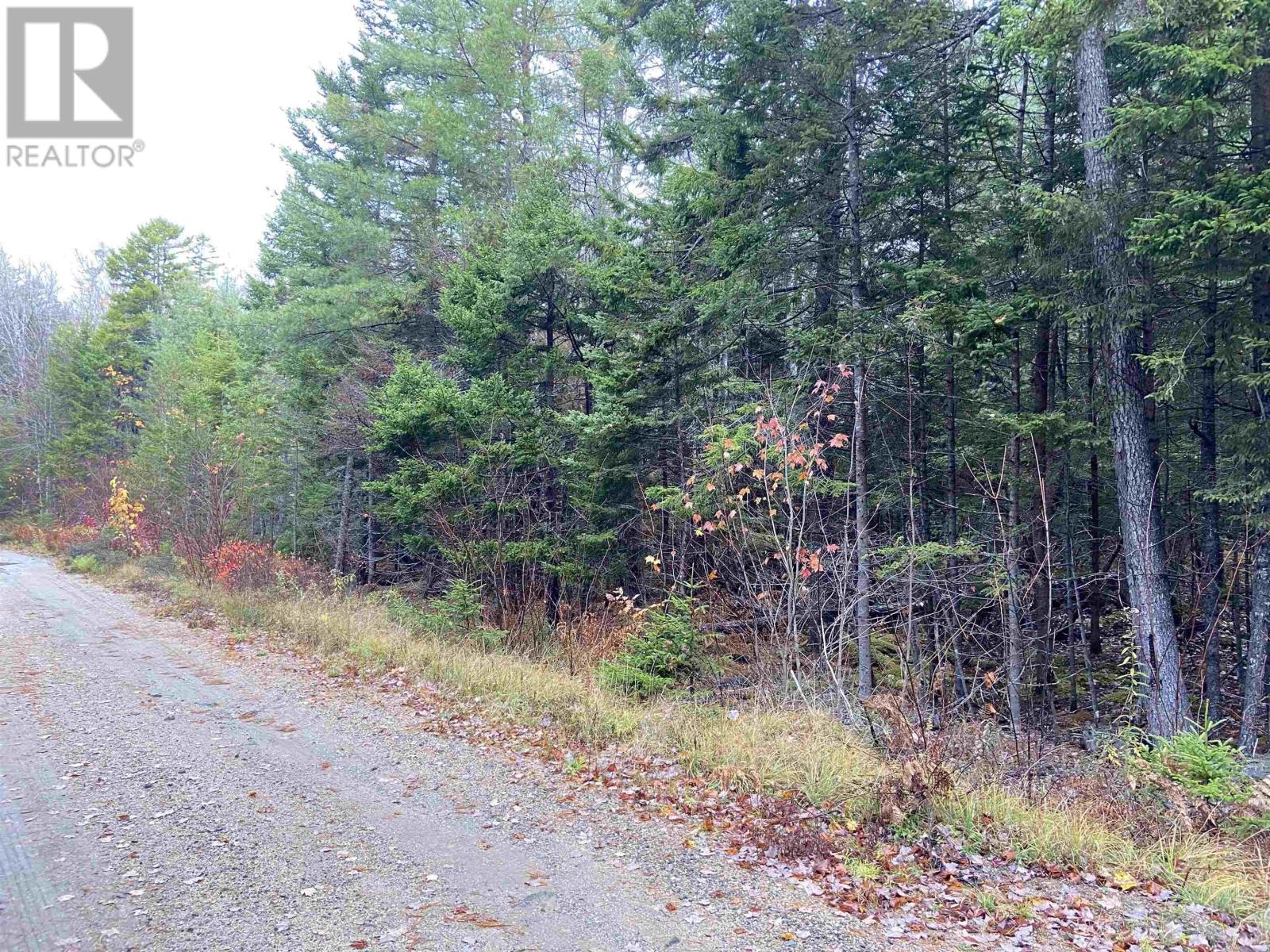 Lot 50 Sunrise Road, North Kemptville, Nova Scotia  B5A 5X9 - Photo 3 - 202526562