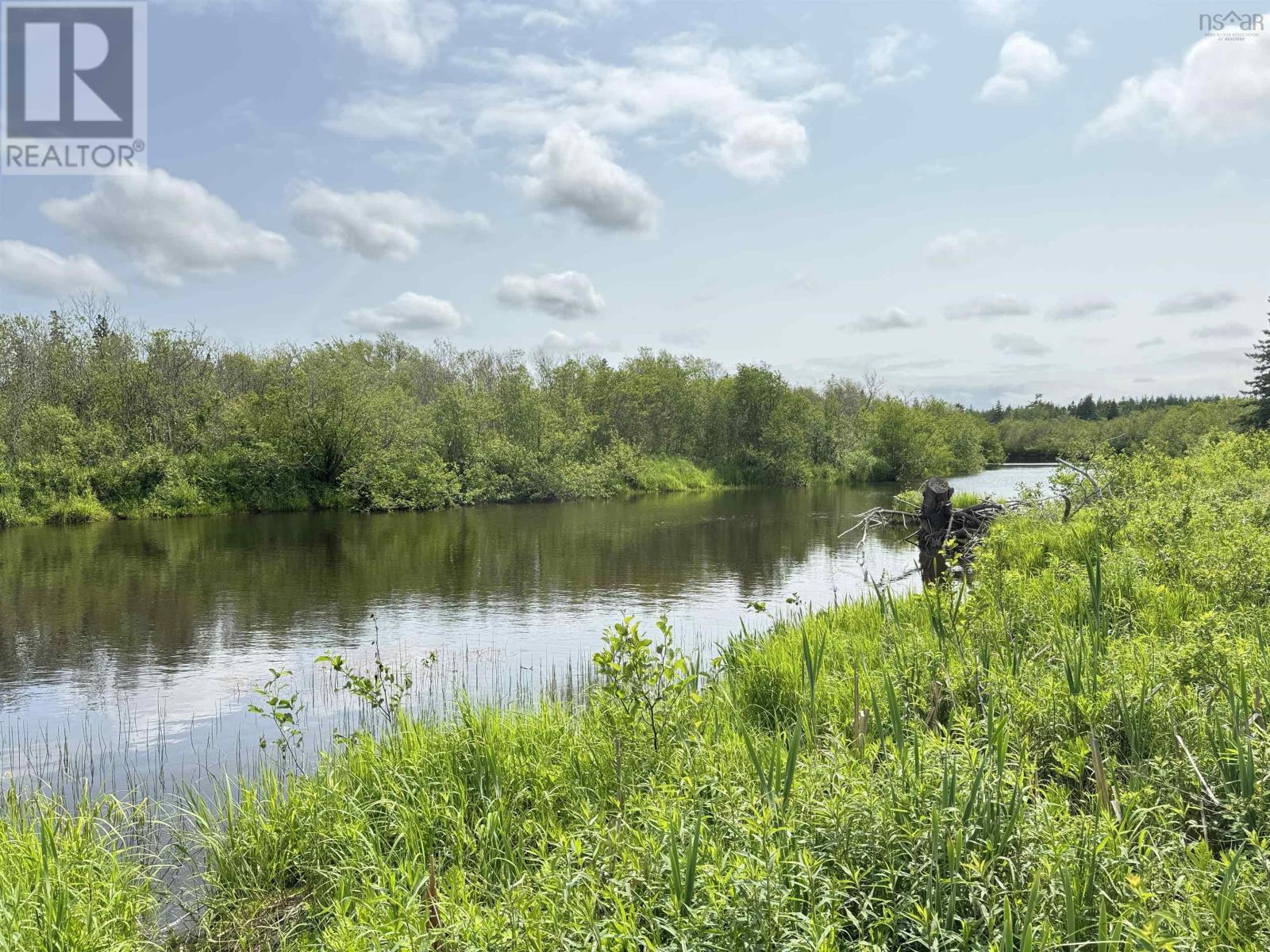 Barren Road, River Denys, Nova Scotia  B0E 2Y0 - Photo 4 - 202526611