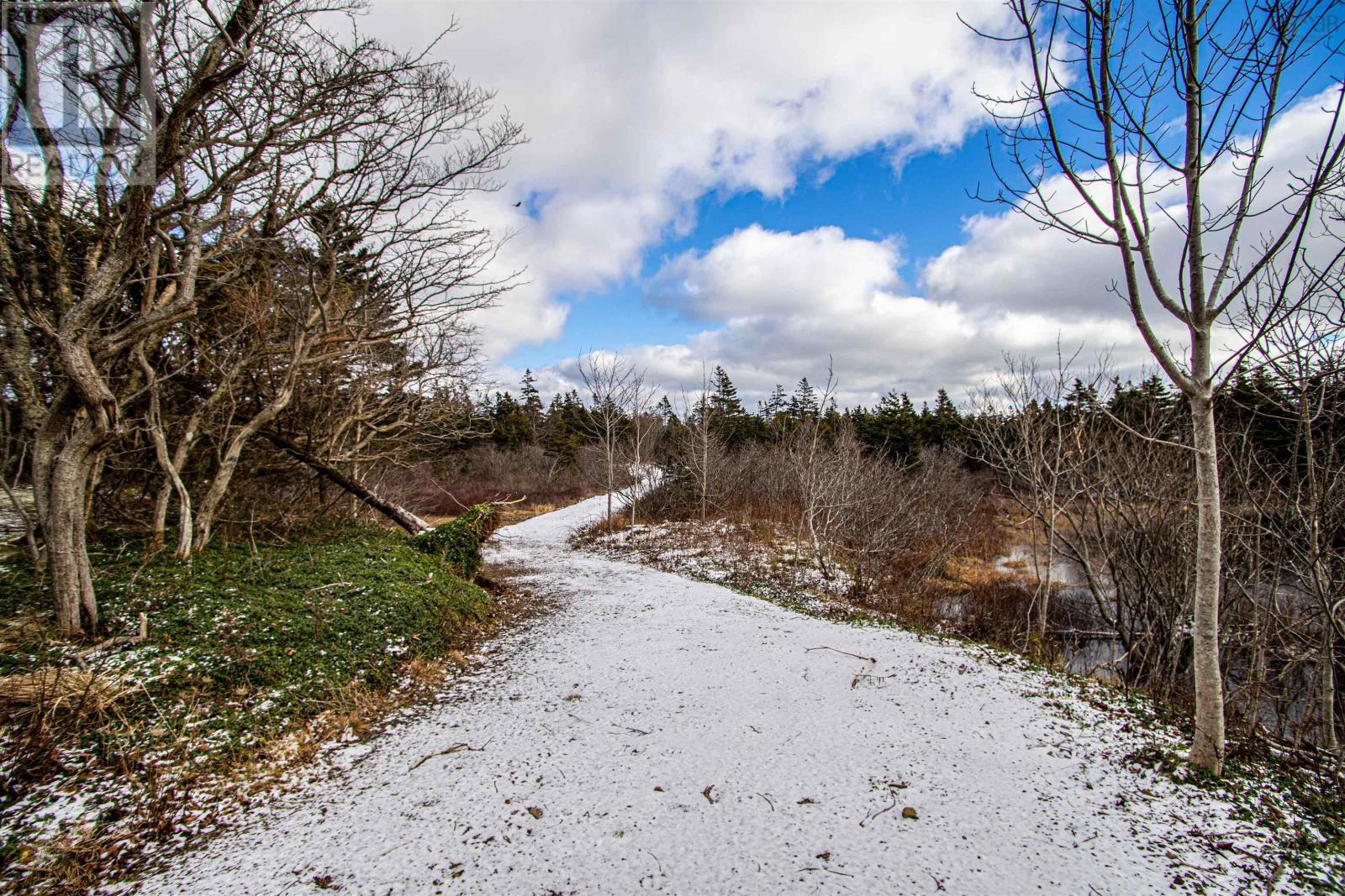 2022a Peajack Road, Westport, Nova Scotia  B0V 1H0 - Photo 19 - 202526630
