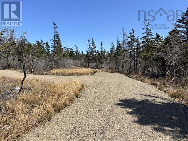 2022a Peajack Road, Westport, Nova Scotia  B0V 1H0 - Photo 3 - 202526630