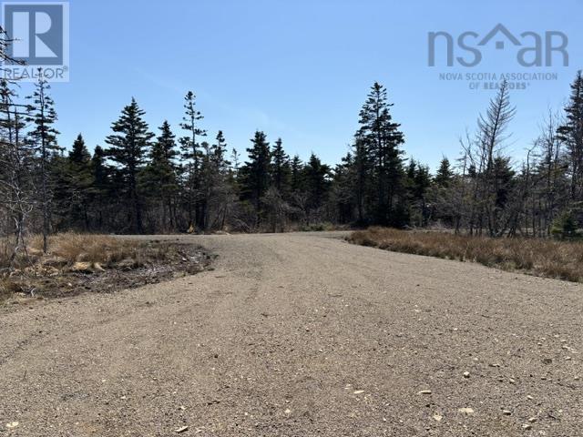 2022a Peajack Road, Westport, Nova Scotia  B0V 1H0 - Photo 5 - 202526630