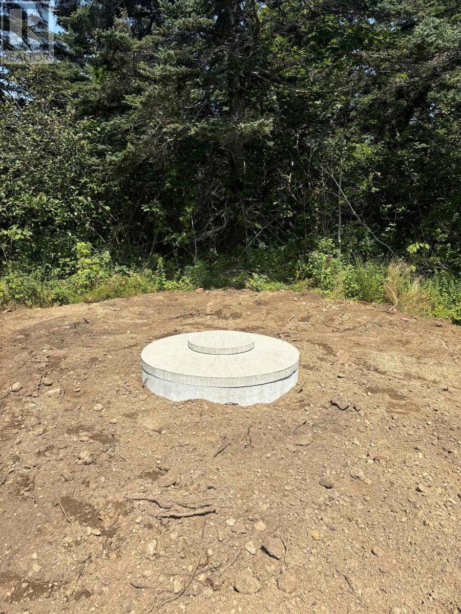 2022a Peajack Road, Westport, Nova Scotia  B0V 1H0 - Photo 9 - 202526630