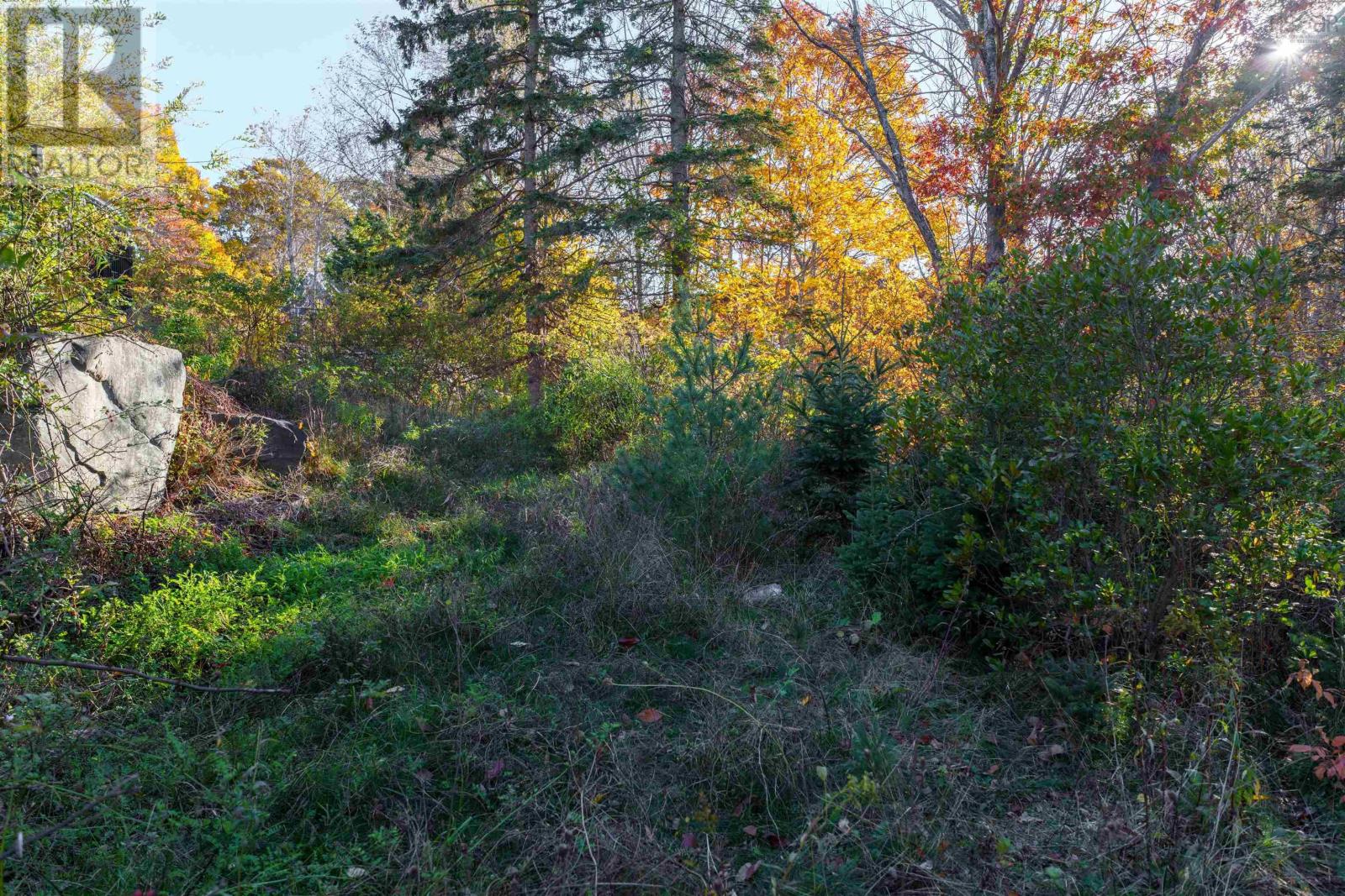 90 Golf Links Road, Bedford, Nova Scotia  B4A 2J3 - Photo 7 - 202526636