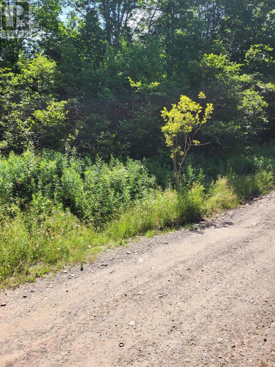 Highway 215 Urbania, Urbania, Nova Scotia  B0H 2H0 - Photo 2 - 202526672