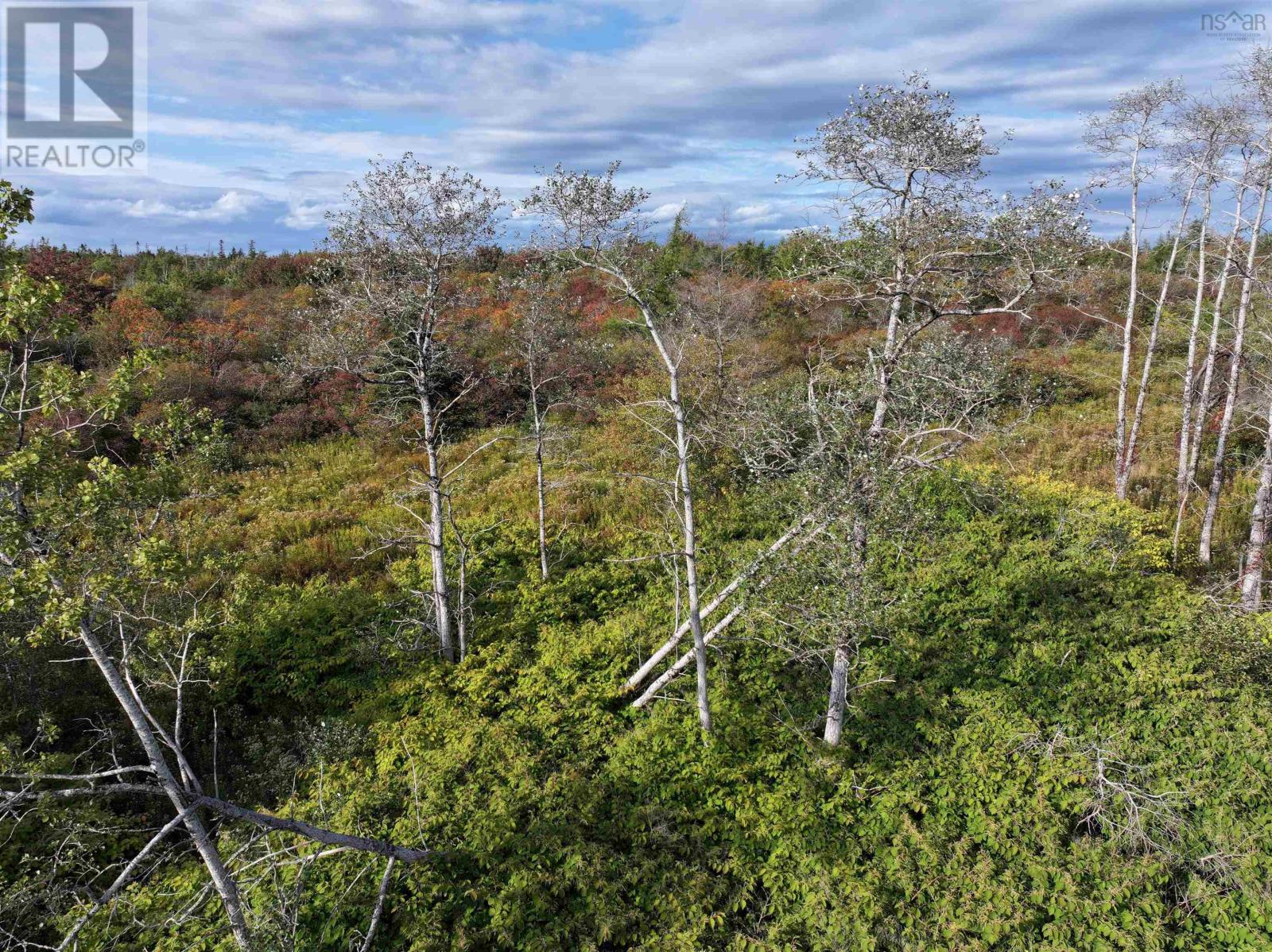 Lot 1 Goldenville Road, Goldenville, Nova Scotia  B0J 0B3 - Photo 3 - 202526705
