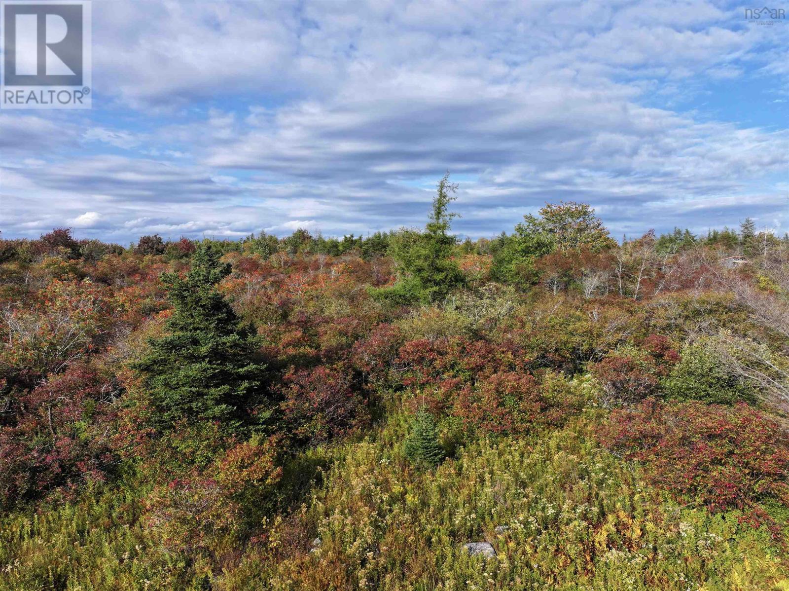Lot 1 Goldenville Road, Goldenville, Nova Scotia  B0J 0B3 - Photo 4 - 202526705