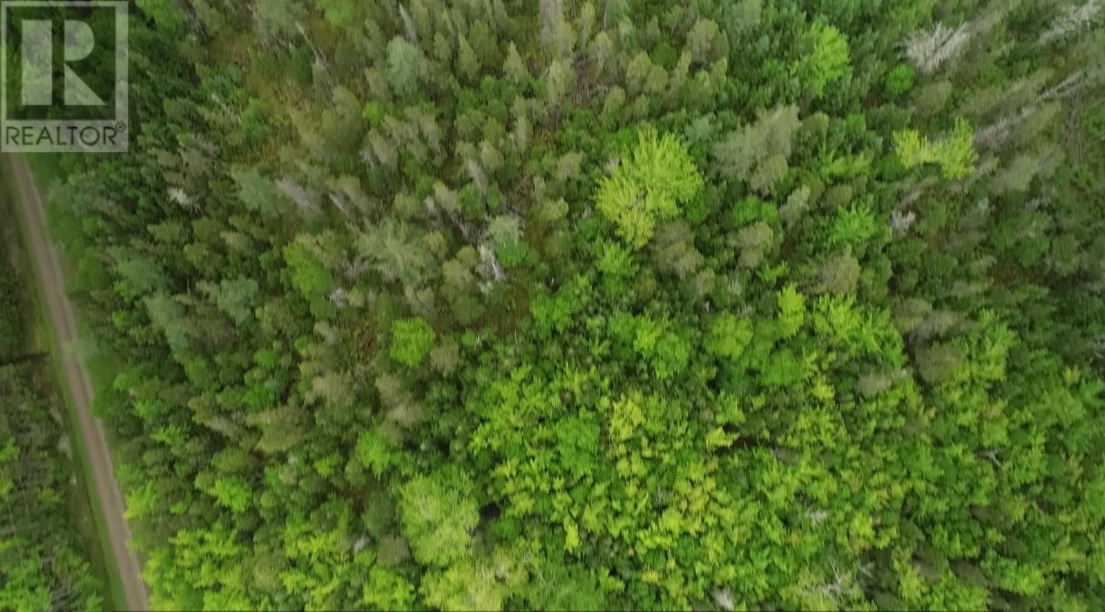 41a Widow Point Loop, Inverness, Nova Scotia  B0E 1N0 - Photo 1 - 202526706