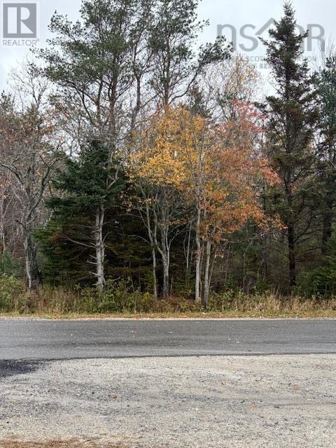 Lot 85 King Street, Shelburne, Nova Scotia  B0T 1W0 - Photo 2 - 202526734