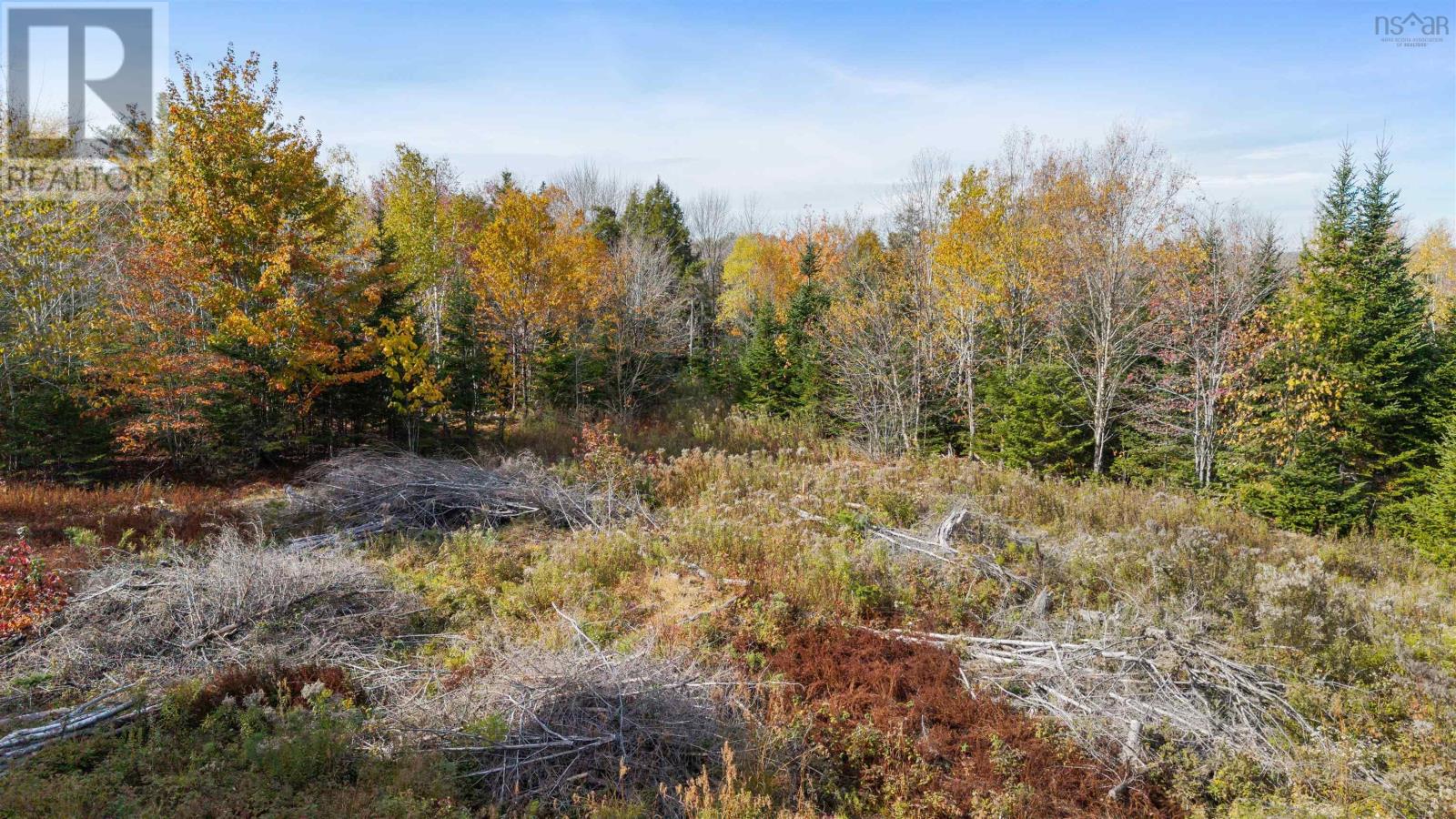 2 & 3-A Highway 2, Lantz, Nova Scotia  B0N 1X0 - Photo 9 - 202526840