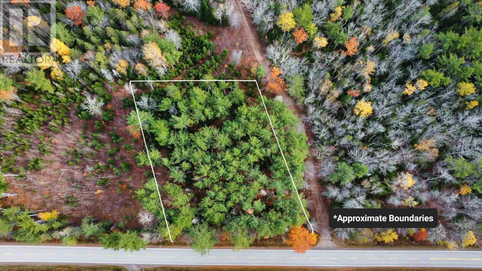 Lot Highway 10, New Albany, Nova Scotia  B0S 1P0 - Photo 4 - 202526847