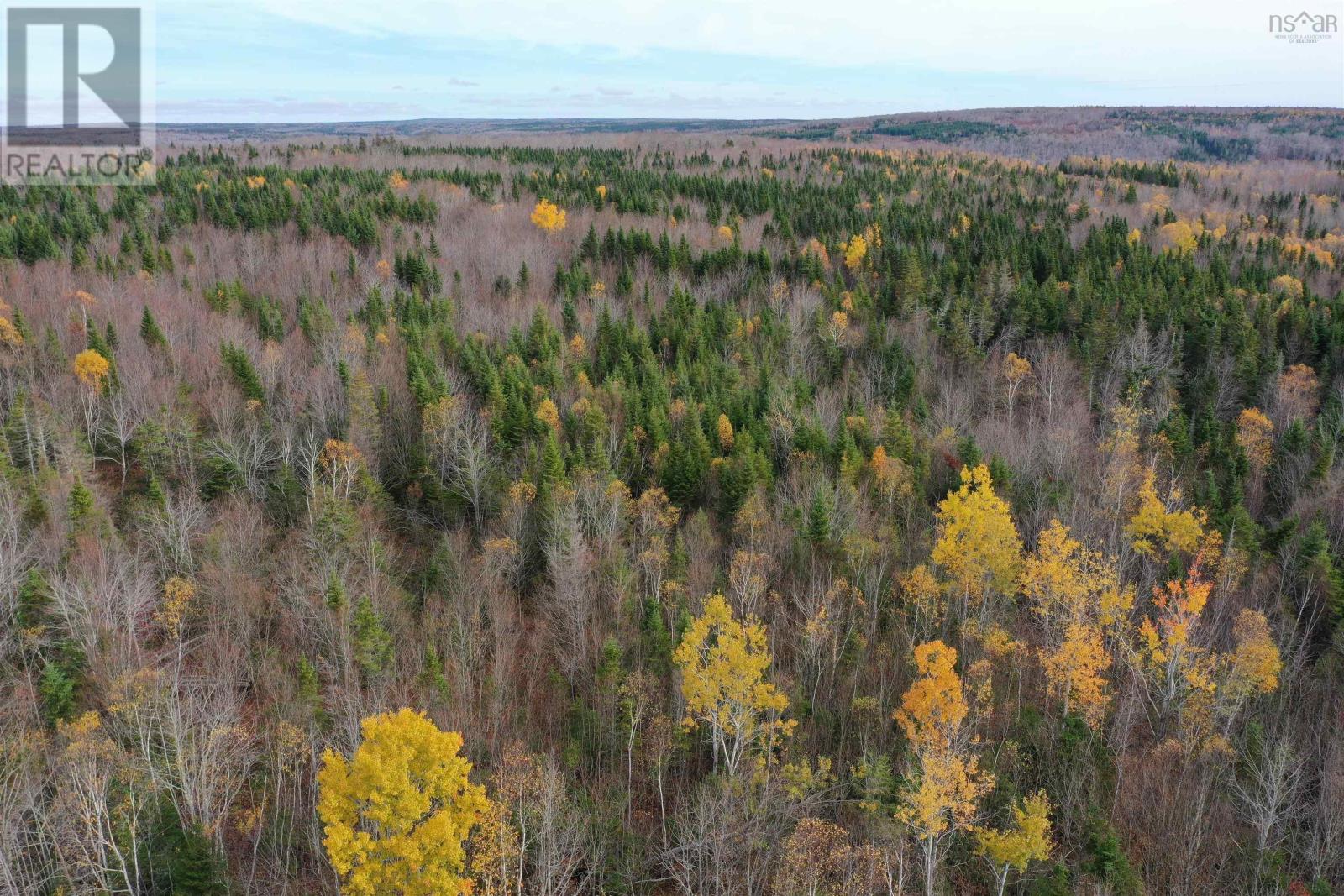 105 Acres+ Macmillan Road, Willowdale, Nova Scotia  B2H 5C8 - Photo 3 - 202526855