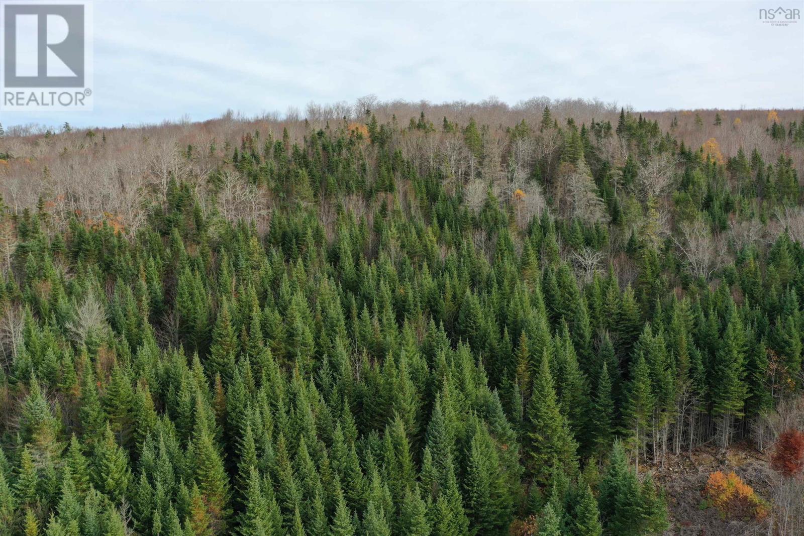 105 Acres+ Macmillan Road, Willowdale, Nova Scotia  B2H 5C8 - Photo 4 - 202526855