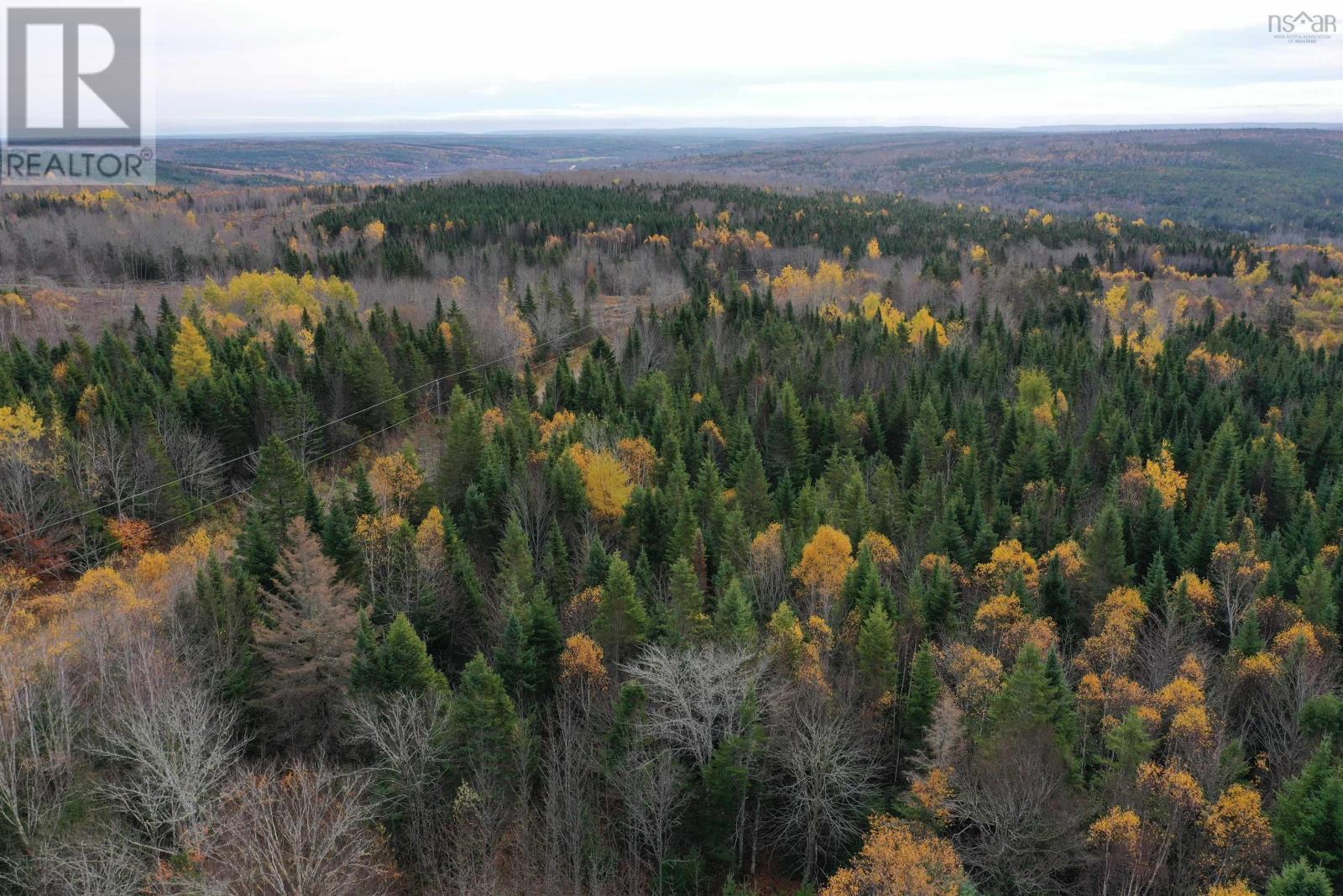 105 Acres+ Macmillan Road, Willowdale, Nova Scotia  B2H 5C8 - Photo 5 - 202526855