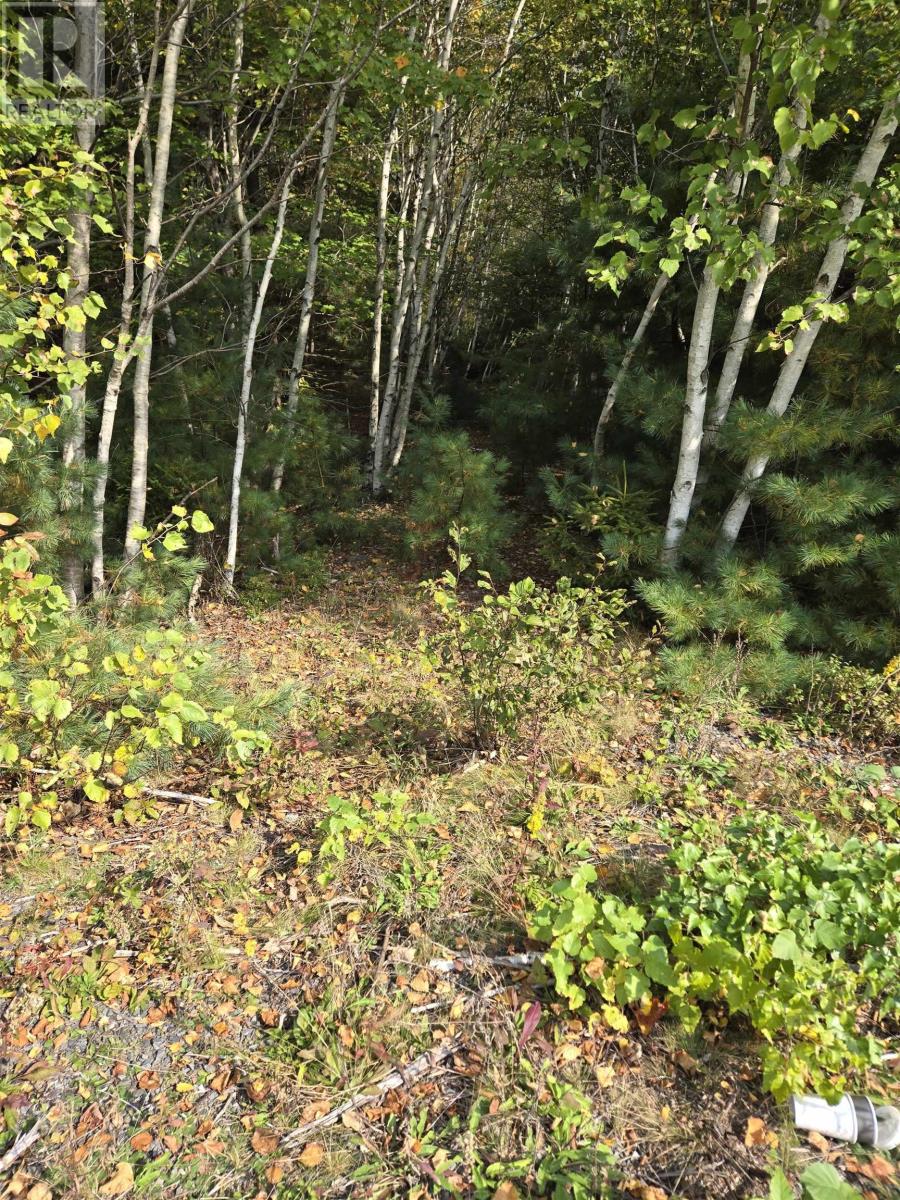 Lot 7 Lower Branch Road, lower branch, Nova Scotia