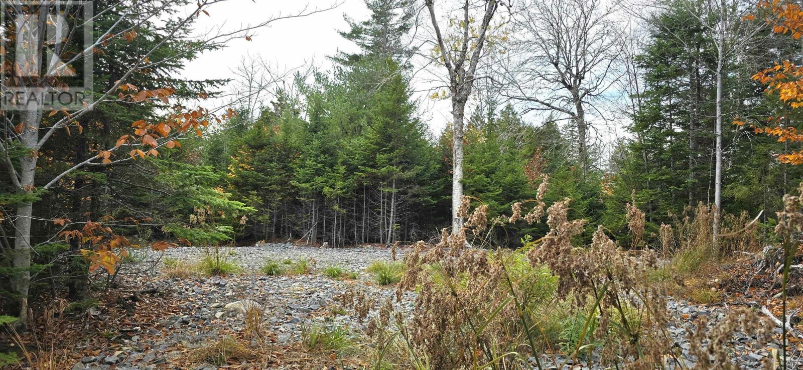 Lot 24 Russells Cove Road, Parkdale, Nova Scotia  B0R 1A0 - Photo 13 - 202526992