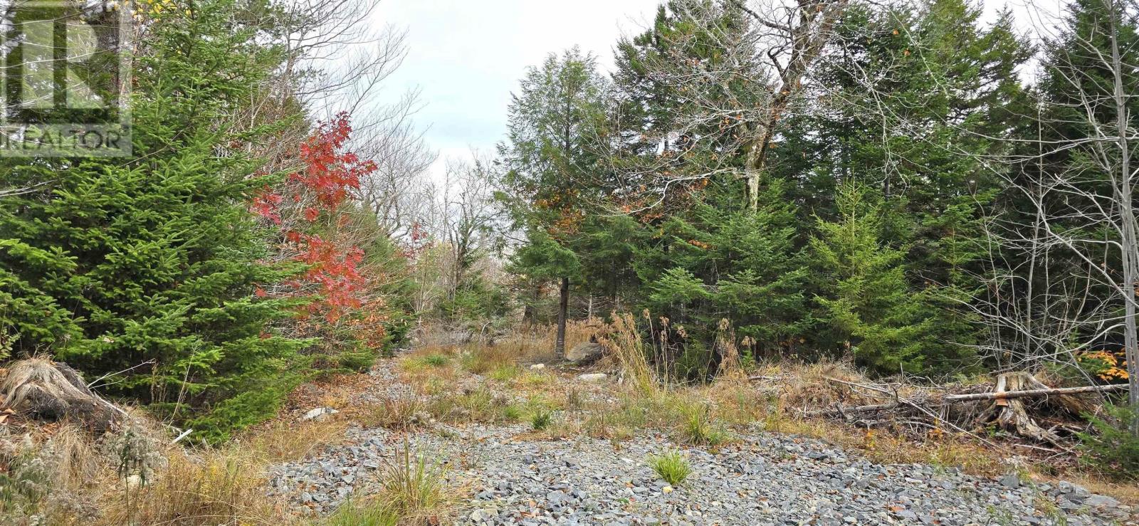 Lot 24 Russells Cove Road, Parkdale, Nova Scotia  B0R 1A0 - Photo 15 - 202526992