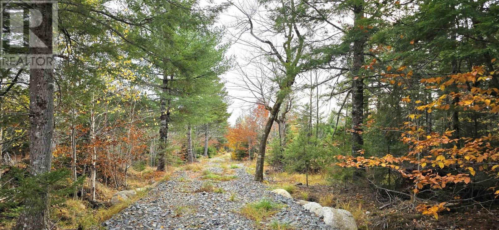 Lot 24 Russells Cove Road, Parkdale, Nova Scotia  B0R 1A0 - Photo 8 - 202526992