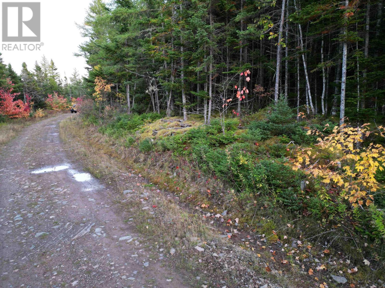 Land 104 Highway, River Bourgeois, Nova Scotia  B0E 2X0 - Photo 11 - 202527068