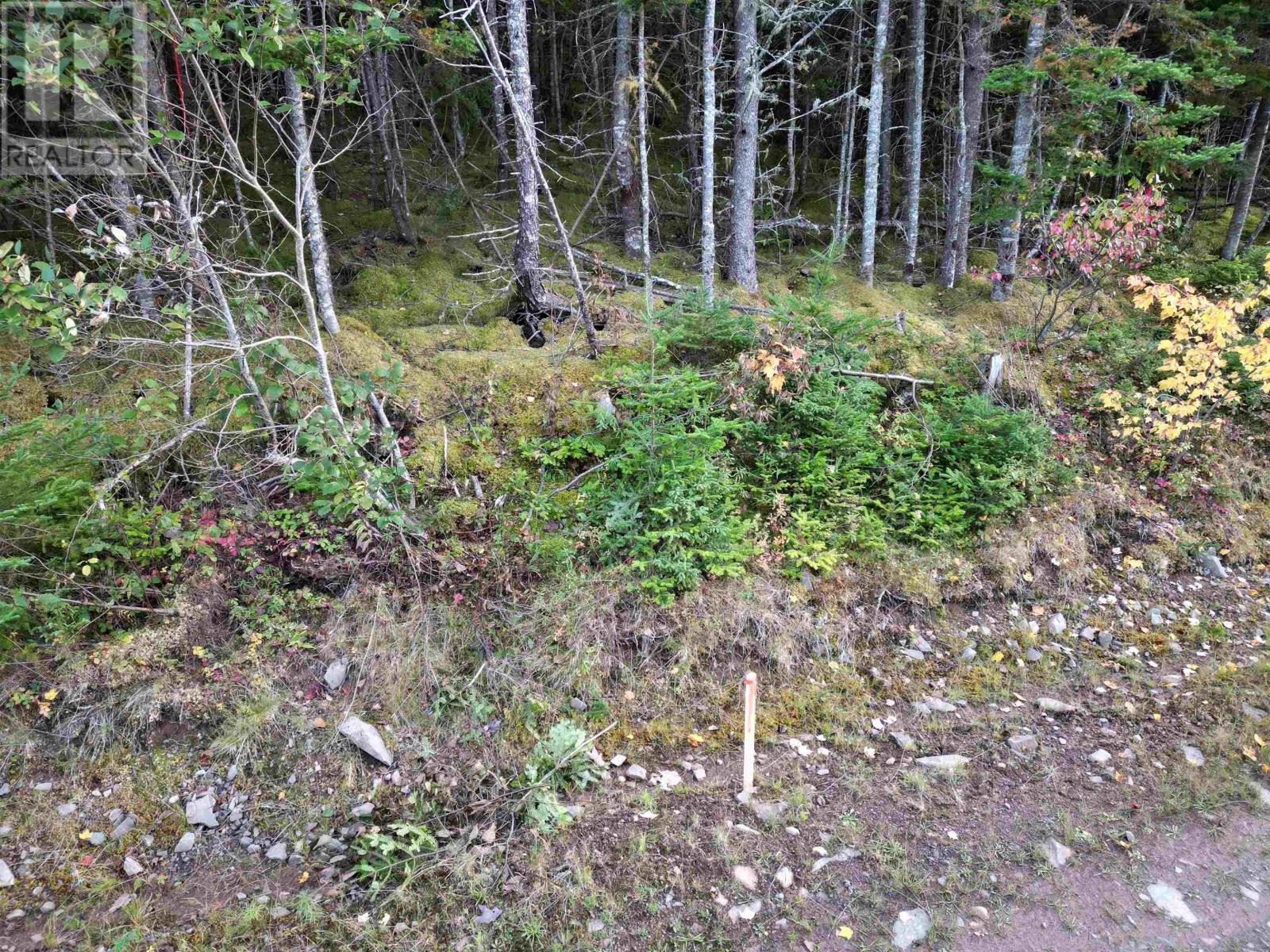 Land 104 Highway, River Bourgeois, Nova Scotia  B0E 2X0 - Photo 12 - 202527068