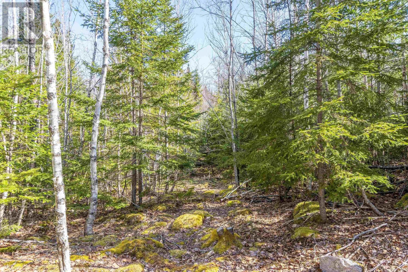 87-1 Falkenham Road, East Dalhousie, Nova Scotia  B0R 1H0 - Photo 30 - 202527085