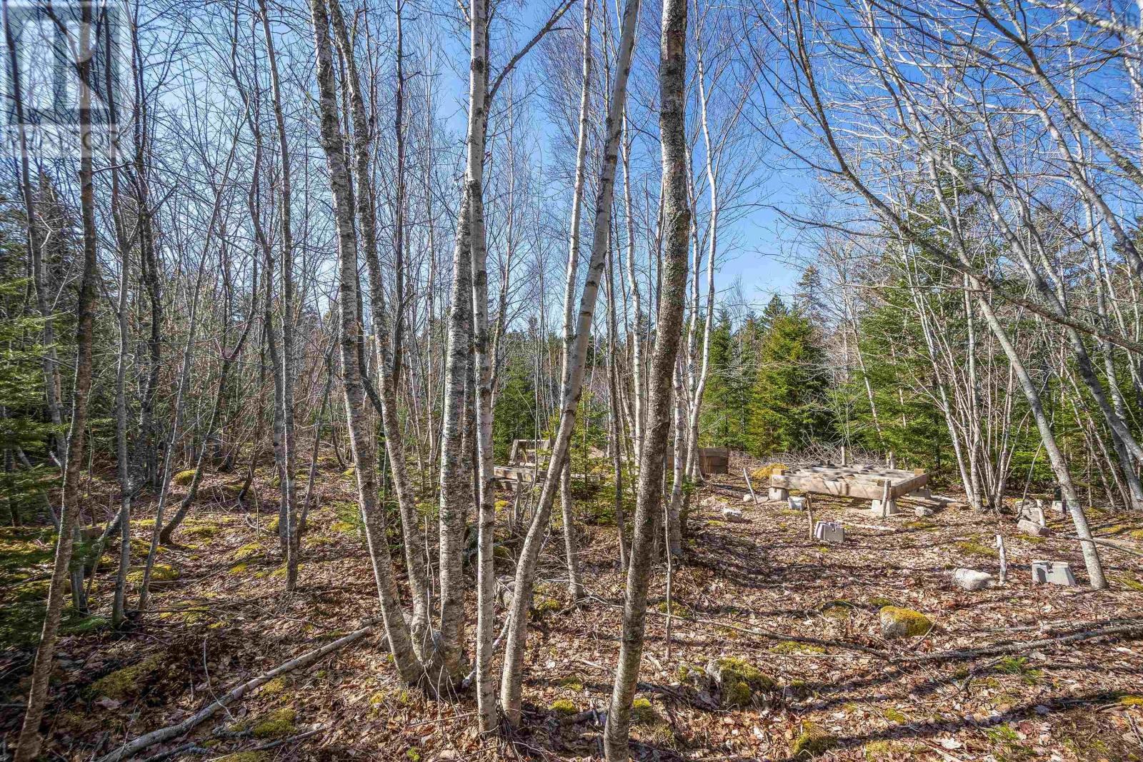 87-1 Falkenham Road, East Dalhousie, Nova Scotia  B0R 1H0 - Photo 31 - 202527085