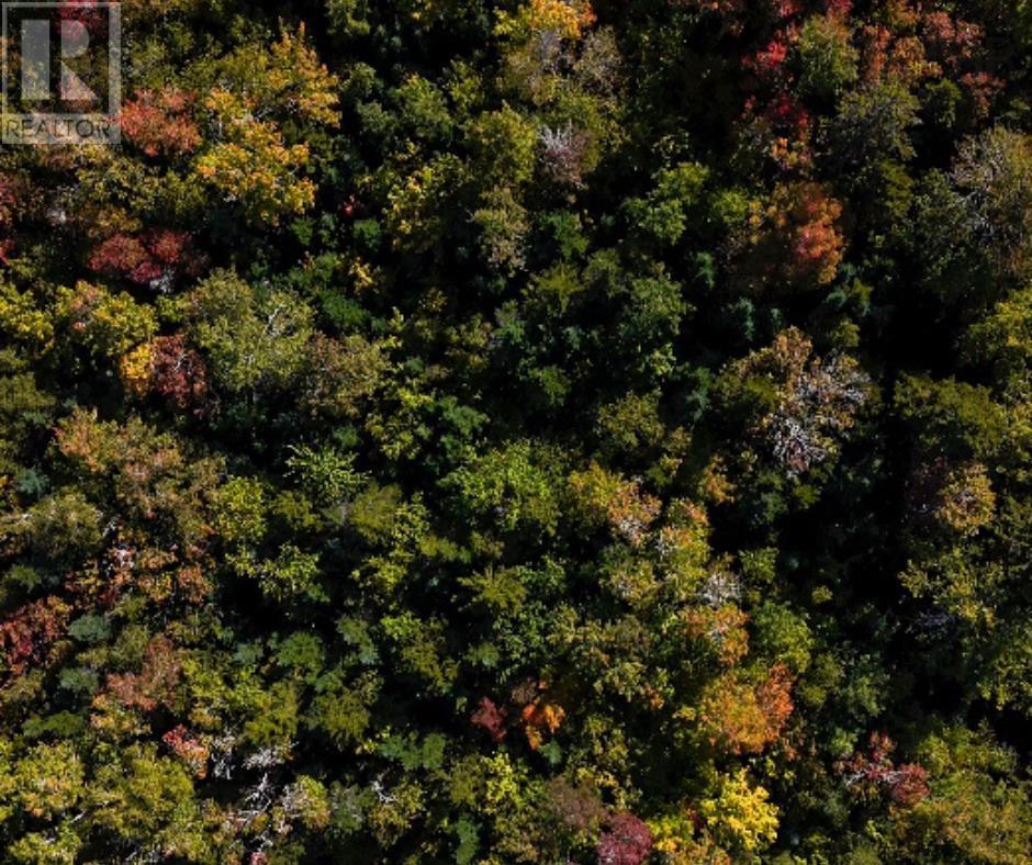 87-1 Falkenham Road, East Dalhousie, Nova Scotia  B0R 1H0 - Photo 5 - 202527085