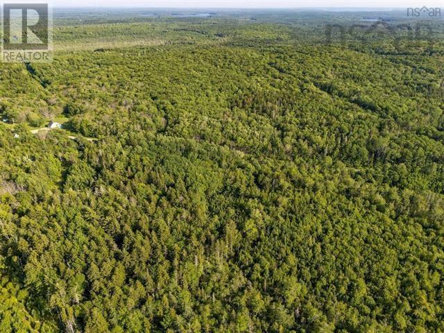 Lot Hectanooga Road, Hectanooga, Nova Scotia  B5A 5L7 - Photo 13 - 202527120