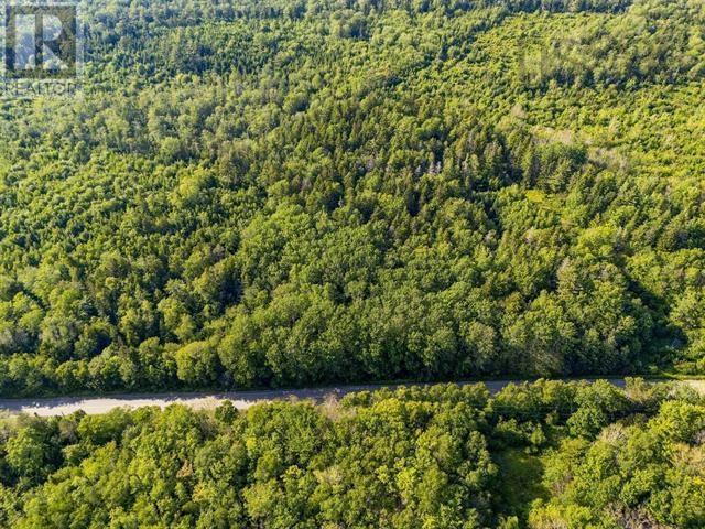 Lot Hectanooga Road, Hectanooga, Nova Scotia  B5A 5L7 - Photo 3 - 202527120