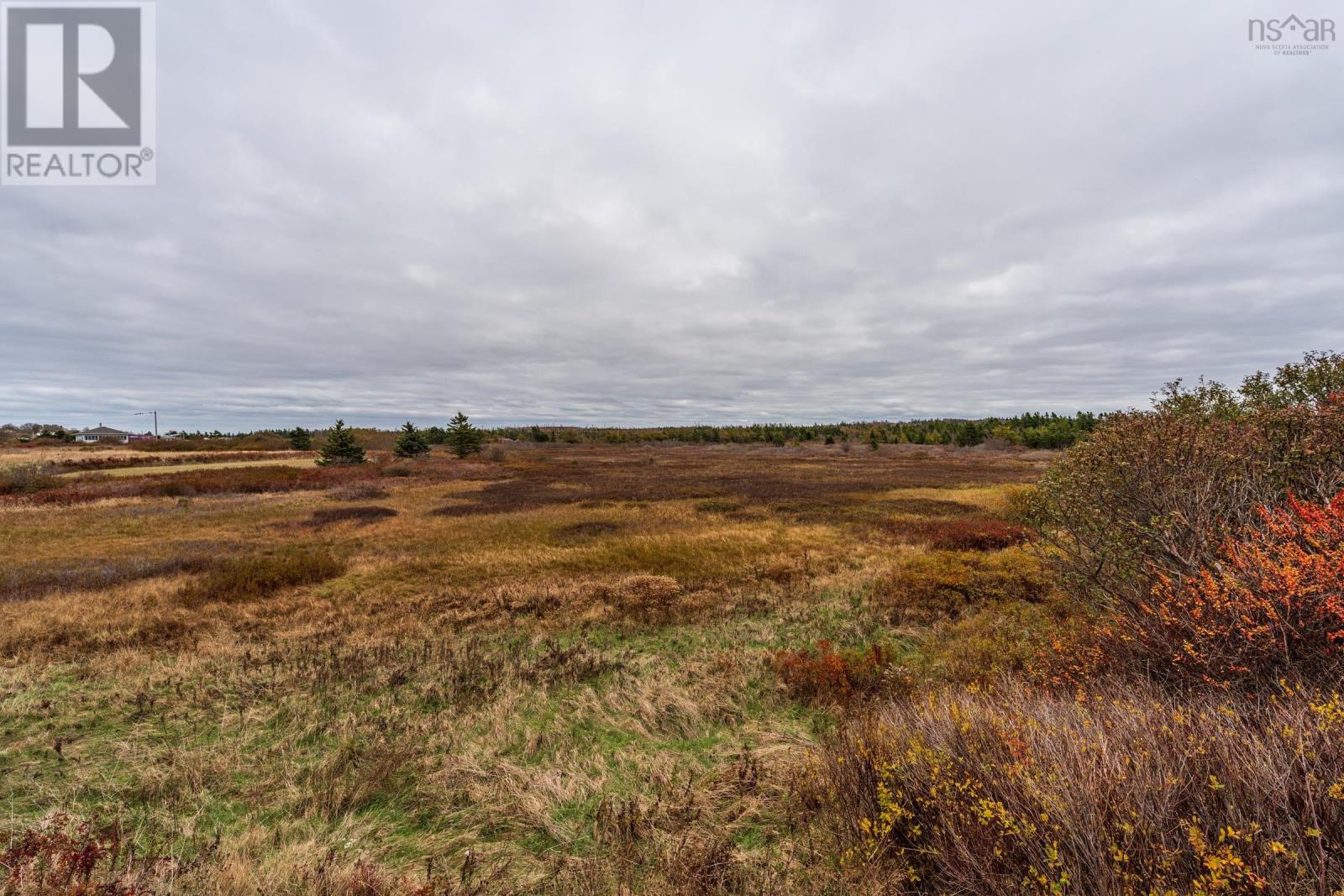 Lots Thimot Road, Saulnierville, Nova Scotia  B0W 2Z0 - Photo 5 - 202527216