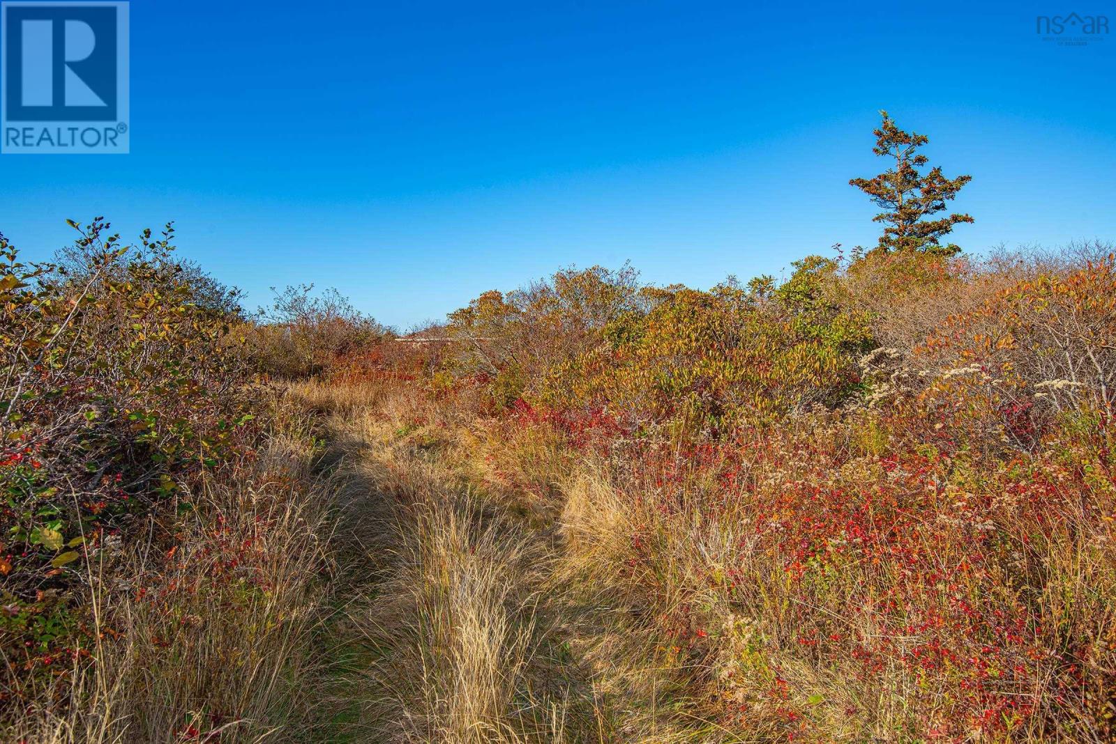 Lot 1a Highway 1, Meteghan, Nova Scotia  B0W 2J0 - Photo 23 - 202527222