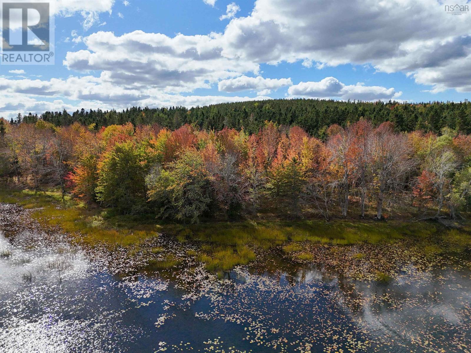994 Lake Egmont Road, Lake Egmont, Nova Scotia  B0N 1Y0 - Photo 17 - 202527302
