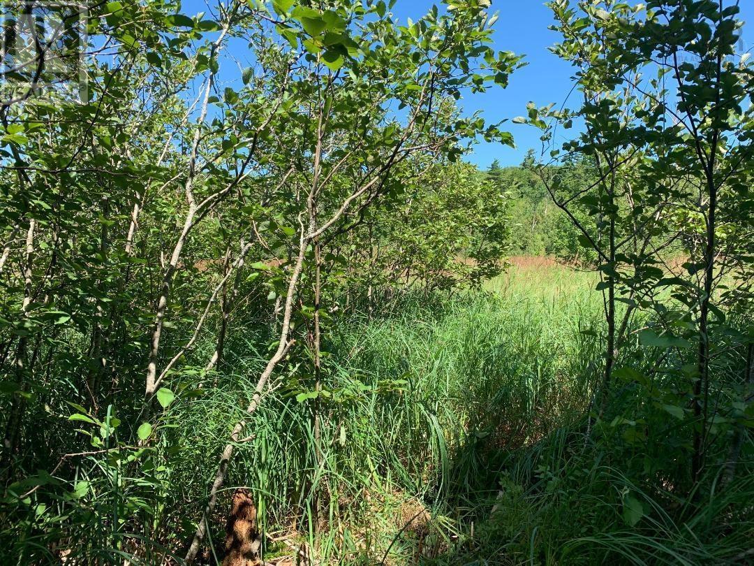 Lot 22-4 Little Harbour Road, Frasers Mountain, Nova Scotia  B2H 3T5 - Photo 4 - 202527330