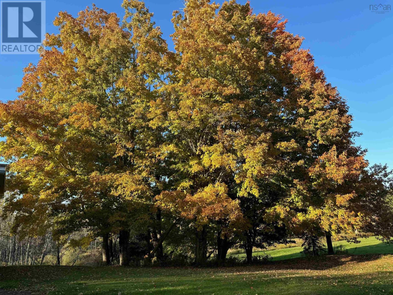 178 Linacy Road, Linacy, Nova Scotia  B2H 5C4 - Photo 36 - 202527474