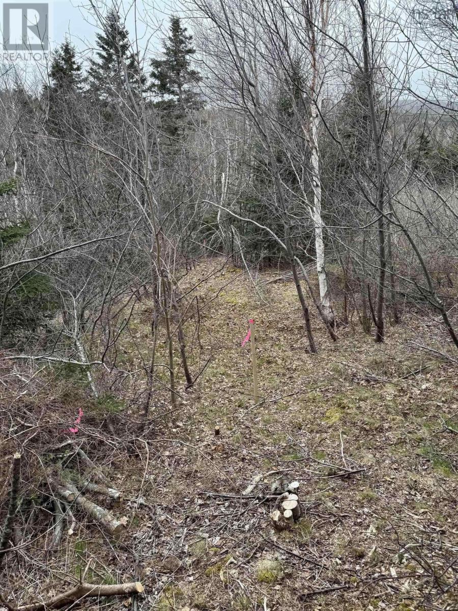 0 16 Highway, Peas Brook, Nova Scotia  B0H 1N0 - Photo 4 - 202527523