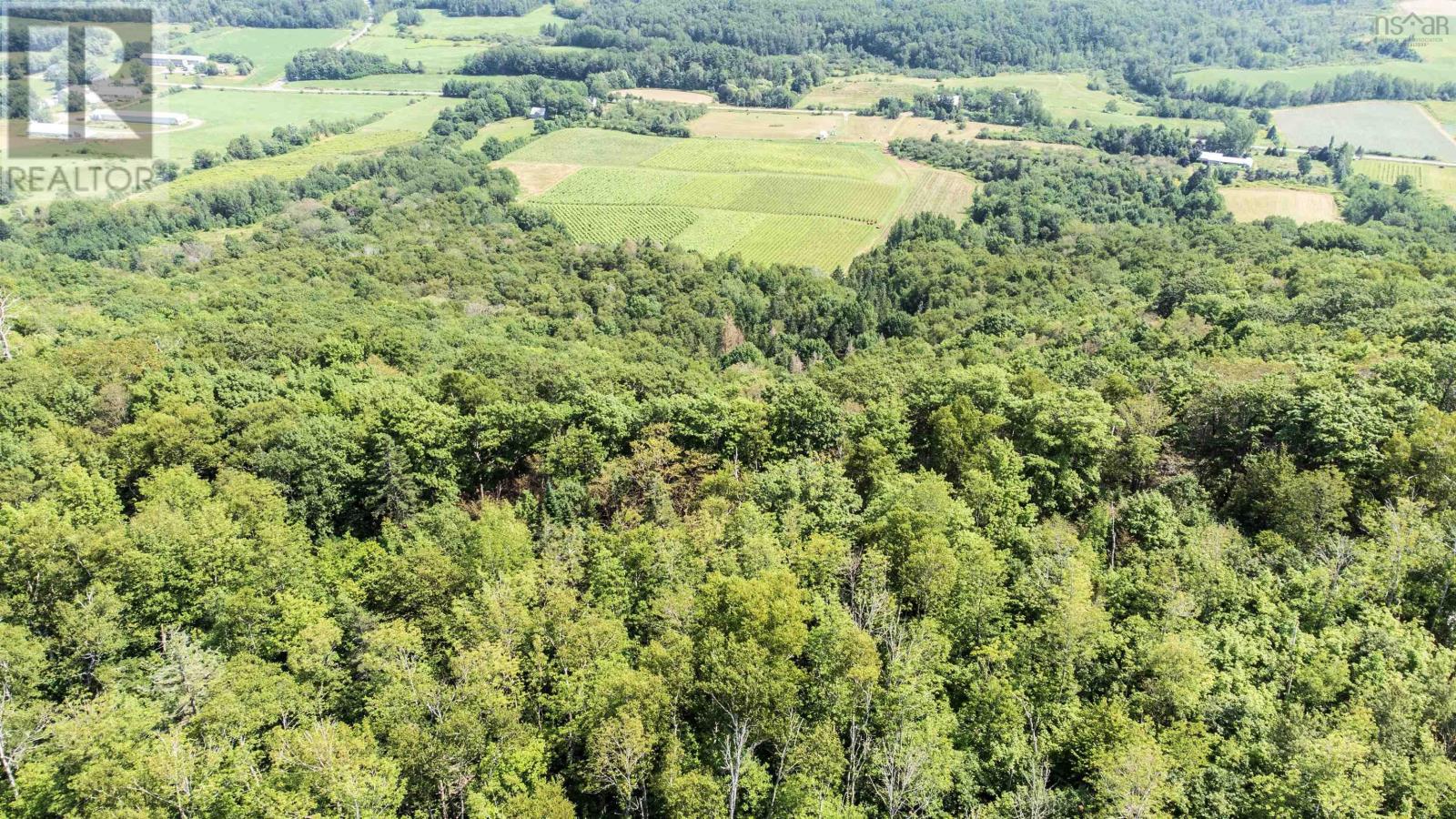 Lot 2023 Gospel Road, Arlington, Nova Scotia  B0P 1H0 - Photo 6 - 202527591