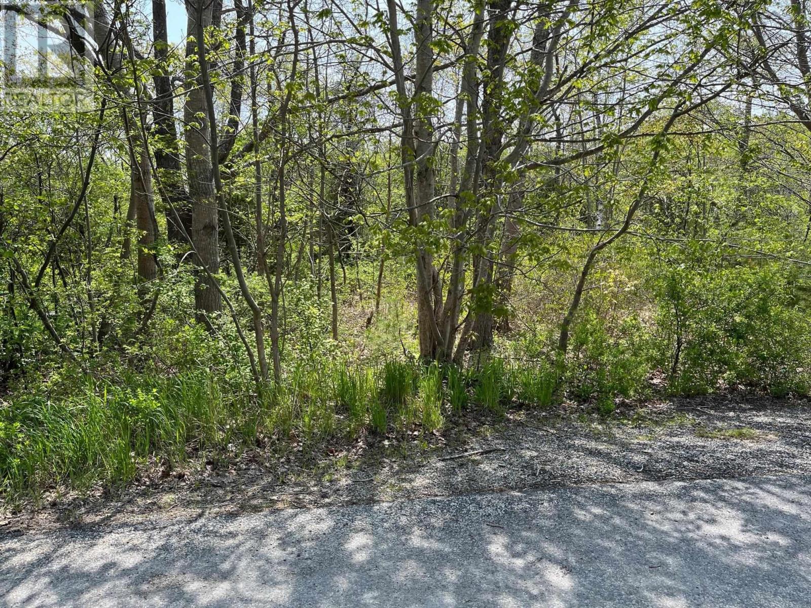 31 Franks Lane, Bridgewater, Nova Scotia  B4V 2R8 - Photo 2 - 202527618